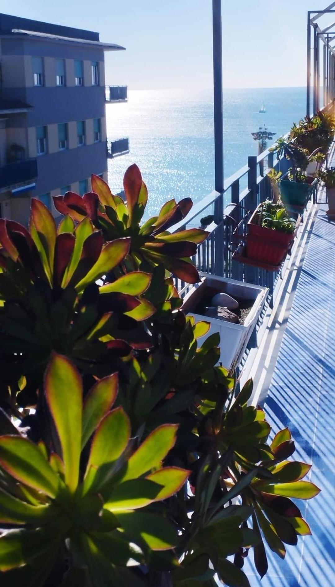 Alta Quota Relax On The Sea Bed & Breakfast Salerno Eksteriør bilde